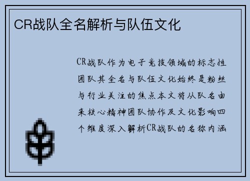CR战队全名解析与队伍文化