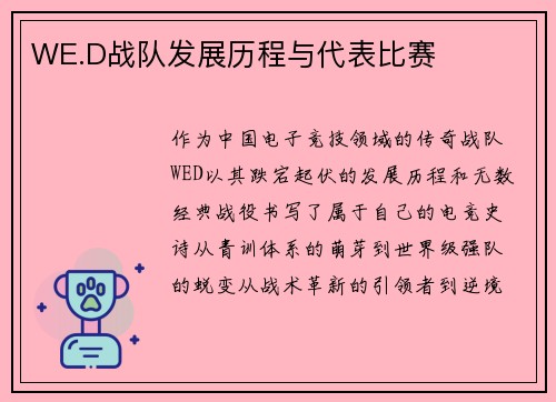 WE.D战队发展历程与代表比赛