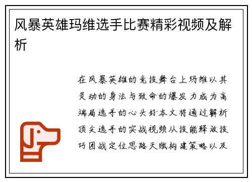 风暴英雄玛维选手比赛精彩视频及解析
