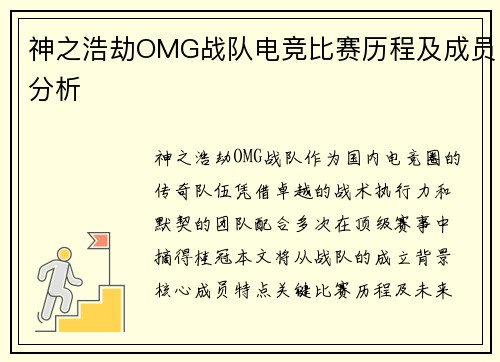 神之浩劫OMG战队电竞比赛历程及成员分析