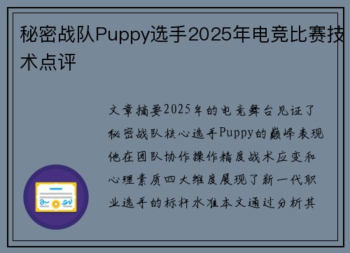 秘密战队Puppy选手2025年电竞比赛技术点评